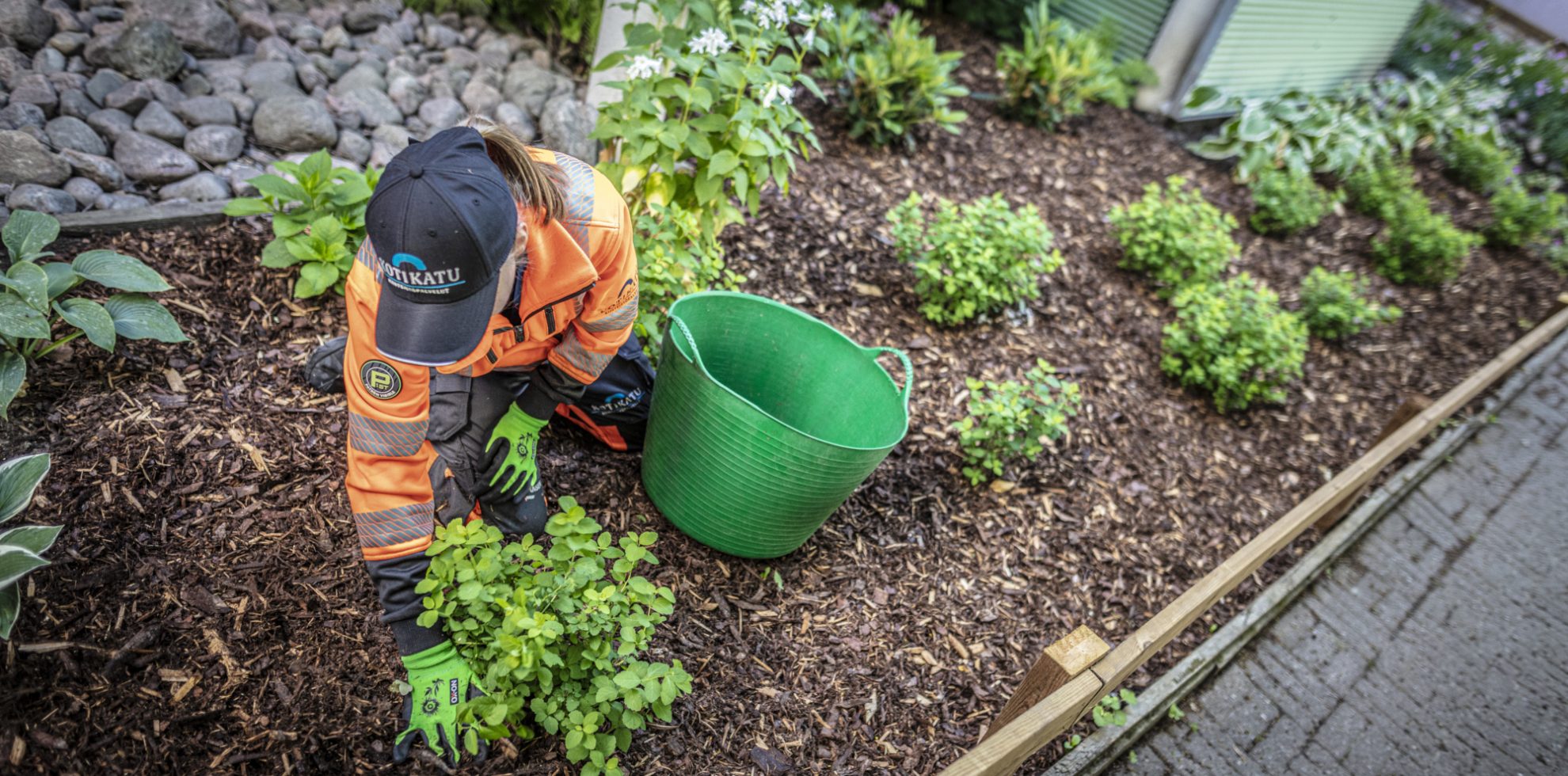 En av våre gartnere legger ny beplantning i et nylig opparbeidet grøntområde