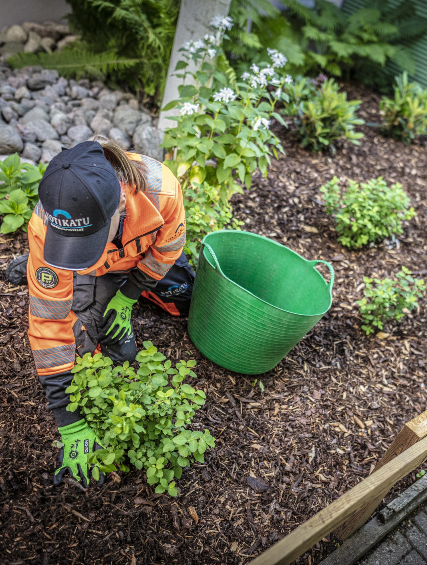 En av våre gartnere legger ny beplantning i et nylig opparbeidet grøntområde